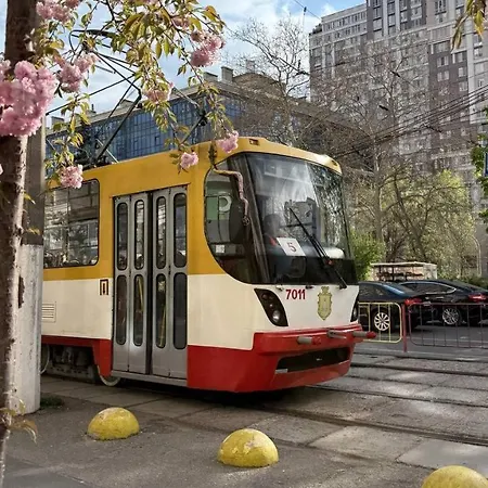 дизайтерская в аркадии Kadorr 51 * オデッサ